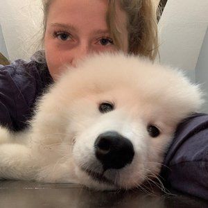 Meet your Posher, Marilyn